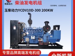 200KW玉柴動力柴油發(fā)電機組 YCDV10D-300工廠視頻實拍